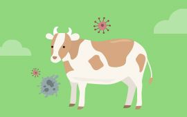 봄철 구제역 예방을 위해 소·염소 농가 일제 예방접종을 실시합니다 첨부파일