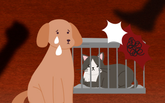 동물학대 등 동물 관련 불법행위 제보 안내 첨부파일