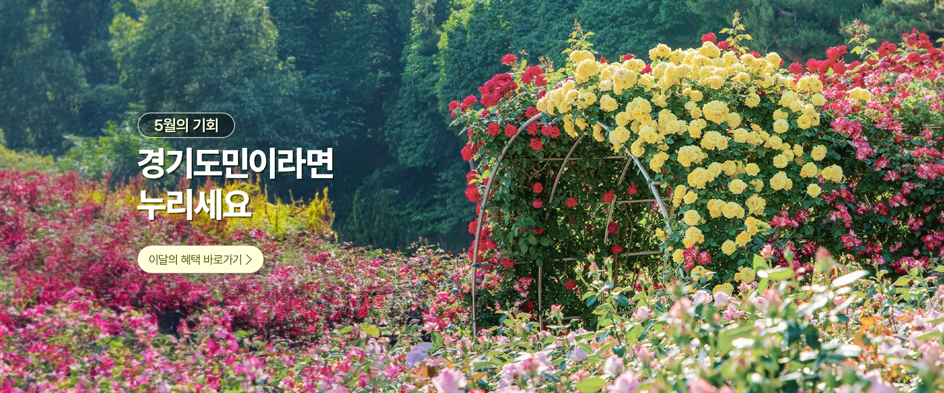5월의 기회
경기도민이라면 누리세요

이달의 혜택 바로가기 >