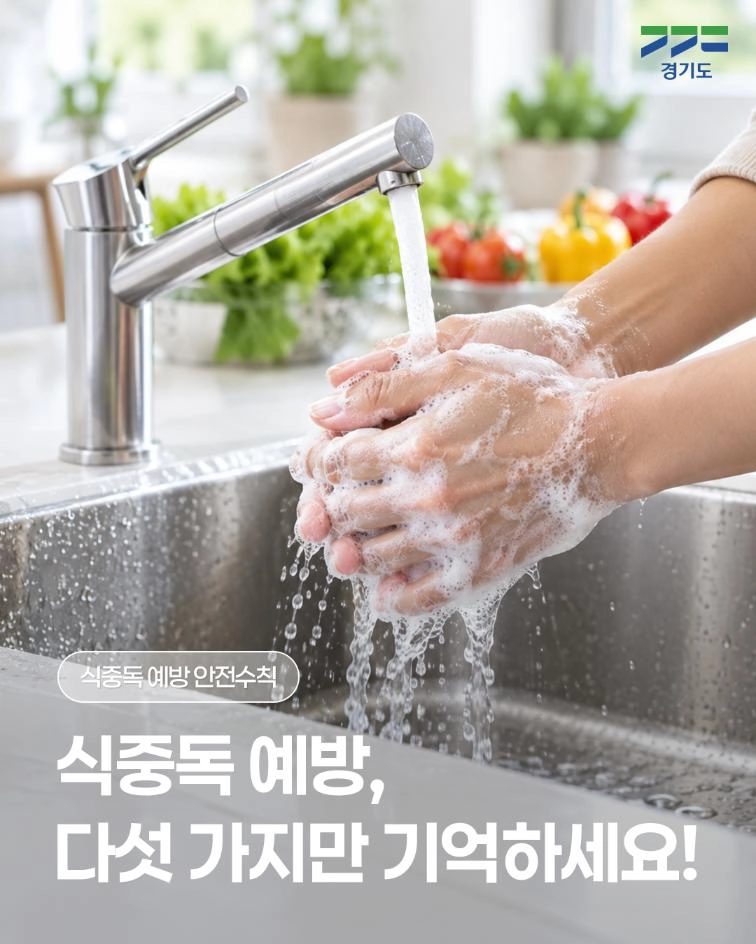 🧼 식중독 예방, 다섯 가지만 기억하세요! 일상 속 작은