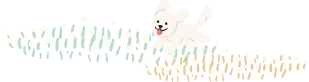 장식요소: