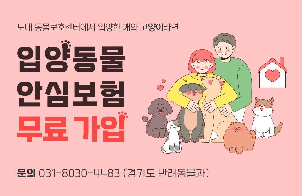 도내 동물보호센터에서 입양한

개와 고양이라면

입양동물 안심보험

무료로 가입


문의 031-8030-4483 (경기도 반려동물과)