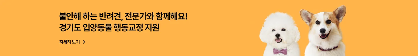 불안해 하는 반려견, 전문가와 함께해요!
경기도 입양동물 행동교정 지원