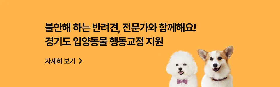 불안해 하는 반려견, 전문가와 함께해요!
경기도 입양동물 행동교정 지원