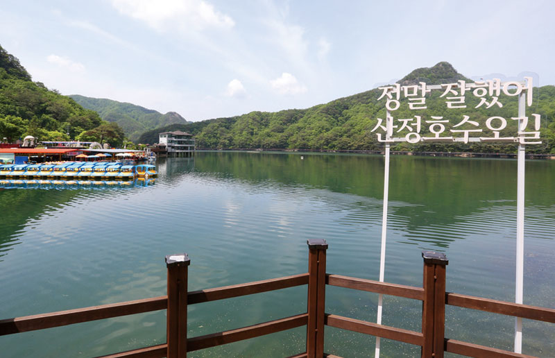 뉴스