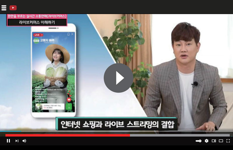 뉴스