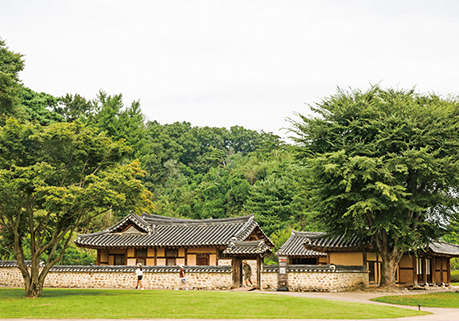 로컬 in 경기