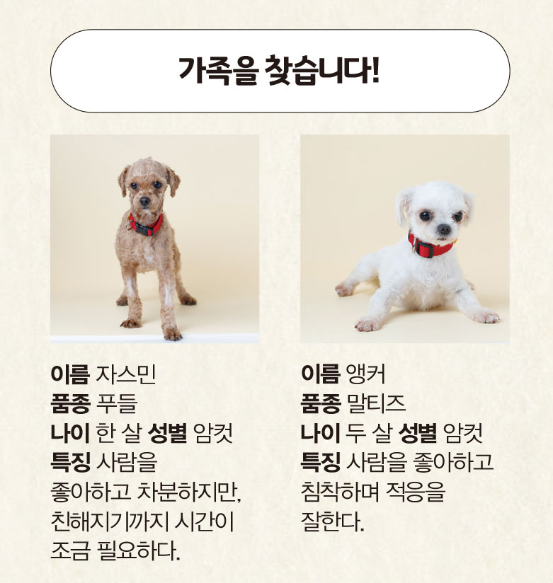 전세피해지원센터2