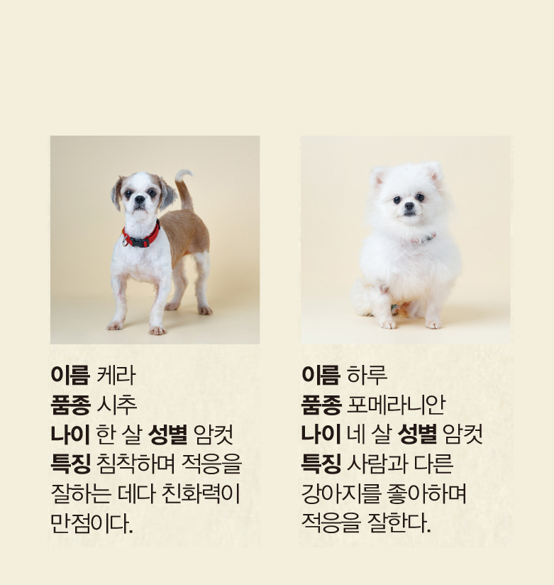 전세피해지원센터2