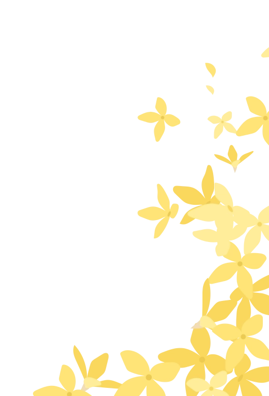 개나리꽃 일러스트 배경(우)