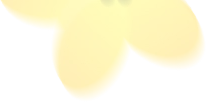 개나리꽃