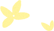 개나리꽃