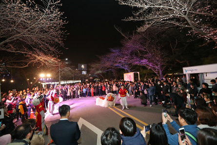 렛츠런파크 서울 야간벚꽃축제