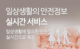 일상생활의 안전정보 실시간 서비스 일상생활에 필요한 안전정보를 실시간으로 제공