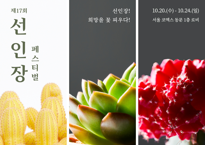 제17회 선인장 페스티벌 10/20(수)-10/24(일) 서울 코엑스 동문 1층 로비