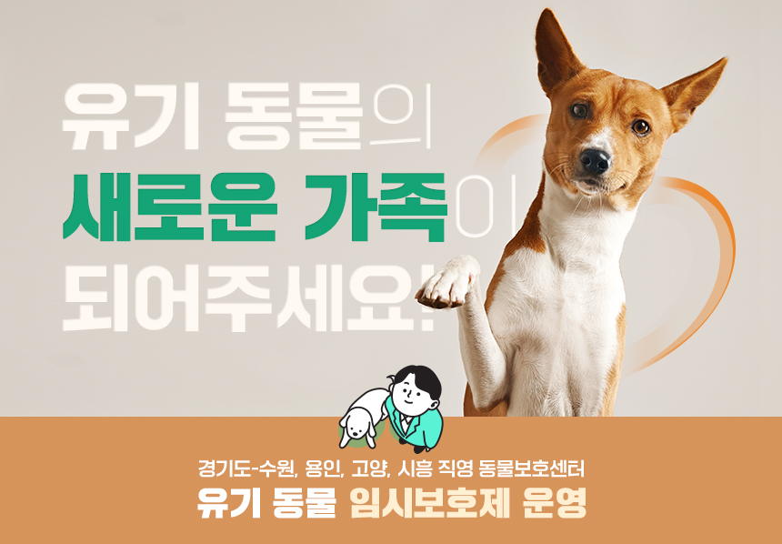 “유기 동물의 새로운 가족이 되어주세요!” / 경기도-수원, 용인, 고양, 시흥 직영 동물보호센터 / 유기 동물 임시보호제 운영