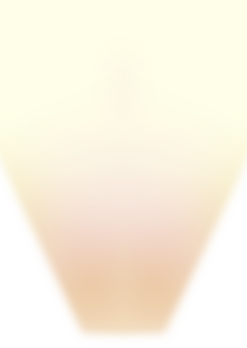 스포트라이트