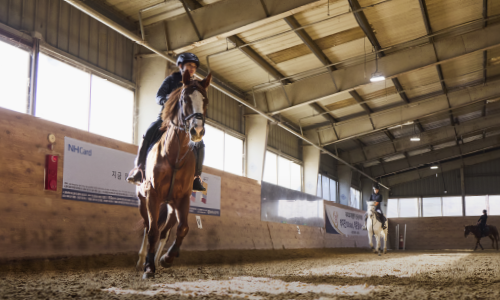 승마장 안에서 승마중인 선수