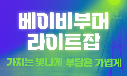 베이비부머 라이트잡