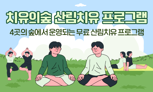 치유의숲 산림치유 프로그램.4곳의 숲에서 운영되는 무료 산림치유 프로그램