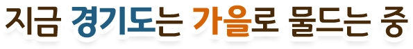 지금 경기도는 가을로 물드는 중