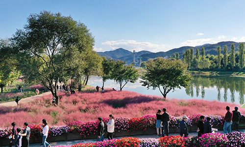 2026 Colorful Garden 자라섬 꽃 페스타