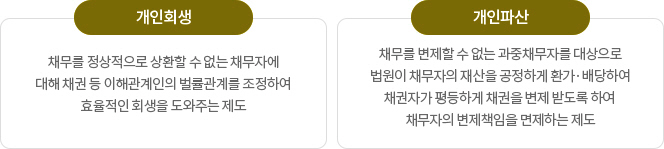 개인회생(채무를 정상적으로 상환할 수 없는 채무자에 대해 채권 등 이해관계인의 법률관계를 조정하여 효율적인 회생을 도와주는 제도), 개인파산(채무를 변제할 수 없는 과중채무자를 대상으로 법원이 채무자의 재산을 공정하게 환가.배당하여 채권자가 평등하게 채권을 변제 받도록 하여 채무자의 변제책임을 면제하는 제도)