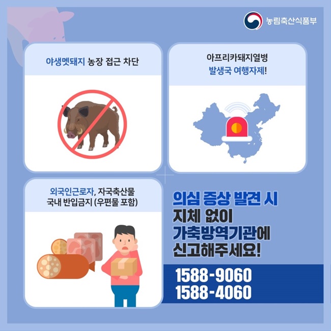 아프리카돼지열병 발생 예방 비상 행동수칙(양돈농가 및 양돈산업 관계자) 인포그래픽 상세 내용 하단 참조