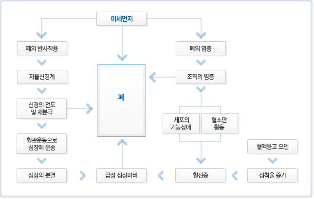 미세먼지로 인한 폐의 반사작용, 자율신경계, 신경의 전도 및 재분극, 혈관운동으로 심장에 운송, 심장의 분열, 급성 심장마비등이 올수 있으며, 폐의 염증, 조직의 염증, 세포의 기능장애, 혈소판 활동, 혈전증,혈액응고 요인, 점착율 증가 모두가 폐의 질환으로 작용합니다.