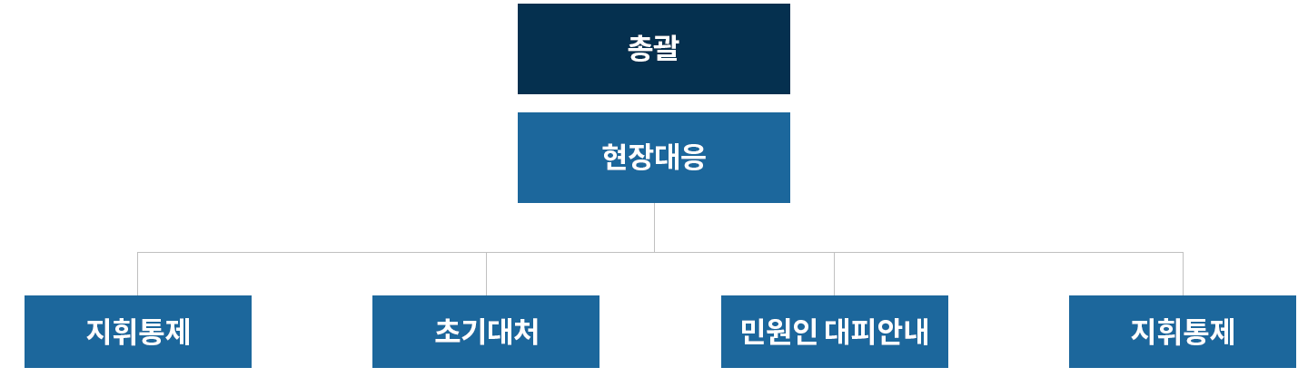 총괄 - 현장대응 (지휘통제, 초기대처, 미원인 대피 안내, 피해 공무원 보호)