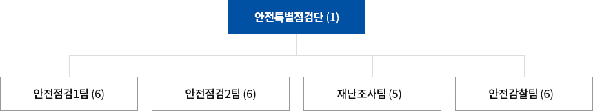 안전특별점검단(1)-안전점검1팀(6), 안전점검2팀(6), 재난조사팀(5), 안전감찰팀(6)