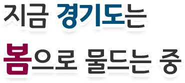 지금 경기도는 봄으로 물드는 중