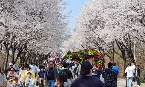 여주흥천남한강벚꽃축제