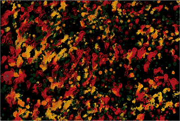 작품 썸네일:옻칠