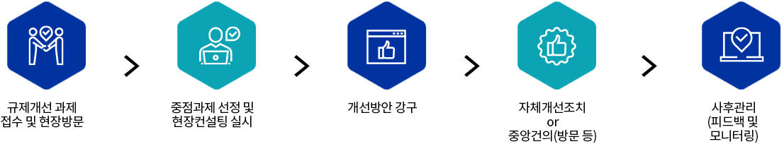 규제개선 과제 접수 및 현장방문 - 중점과제 선정 및 현장컨설팅 실시 - 개선방안 강구 - 자체개선조치 or 중앙건의(방문 등) -사후관리(피드백 및 모니터링)