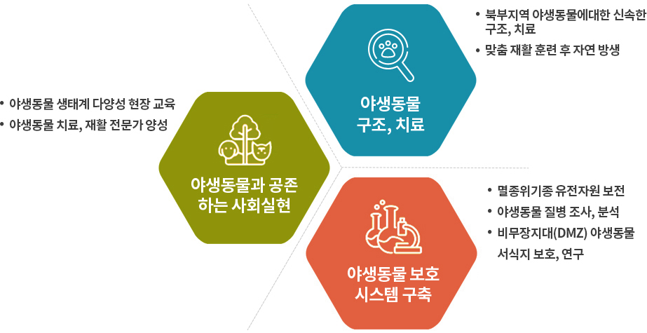 북부야생동물-구조센터 업무내용 이미지