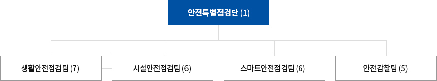 안전특별점검단(1)-생활안전점검팀(7), 시설안안전점검팀(6), 스마트안전점검팀(6), 안전감찰팀(5)