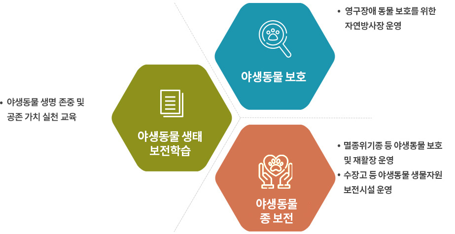야생동물학교 업무내용 이미지